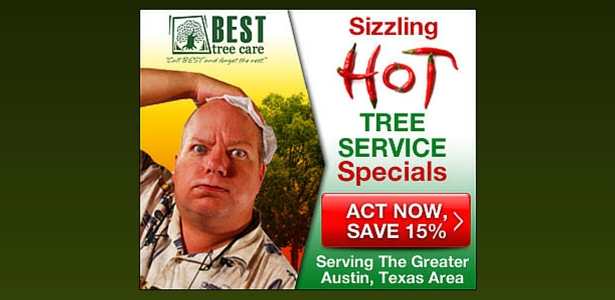 Austin Tree Service Summer Special